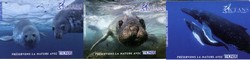 THONON : les animaux marins du film Oceans