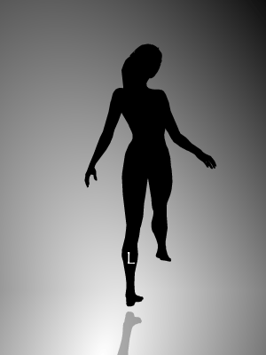 illusion ballerine