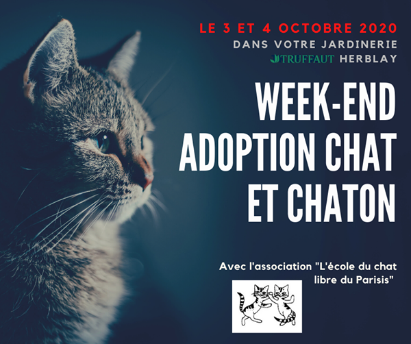 Adoptions solidaires chez Truffaut le 3 et 4 octobre 2020 12006310