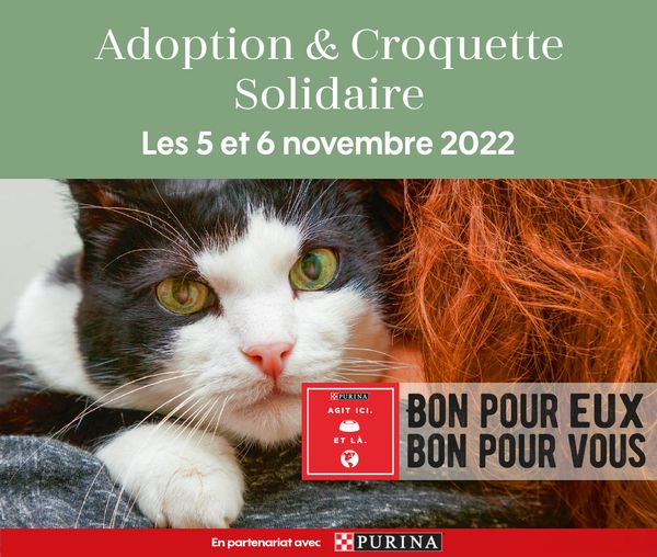 Week-ends adoption solidaire et collecte à Truffaut (2022) 31181611