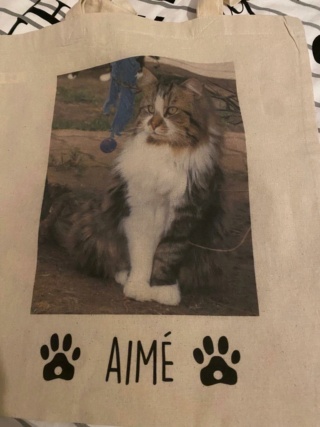 Vente de vêtements siglés École du chat pour soutenir l'asso Img-2051