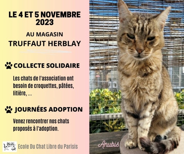 Week-ends adoption solidaire et collectes à Truffaut (2023) - Page 2 Le_15_10