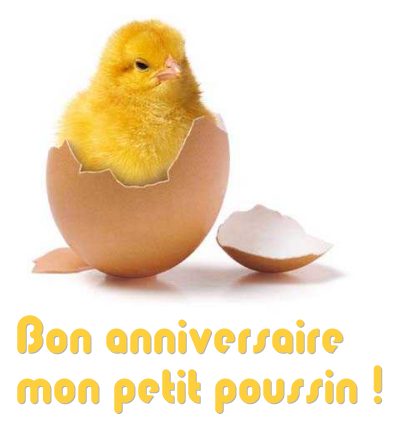 Anniversaire de novembre Poussi10