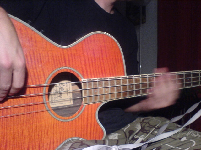 COIN GUITARE/BASSE - Page 2 Dsc00410