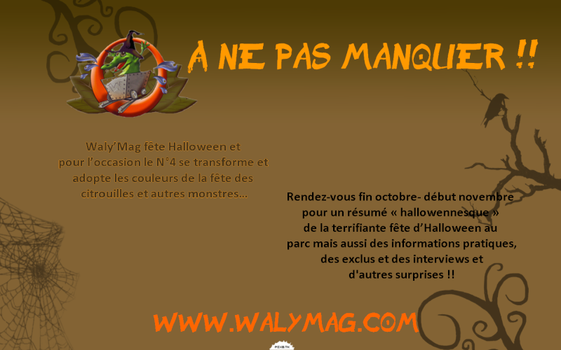 Waly'Mag N°4 (Bientôt) Pubhal11
