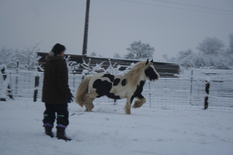 mes loulous dans la neige!!encore des photos!!!!!!!!! 25012027