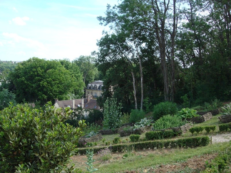 visite "Jardin médévial" du Prieuré St Thibault le 5/6/10 Dsc00380