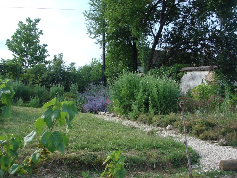 visite "Jardin médévial" du Prieuré St Thibault le 5/6/10 Dsc00383
