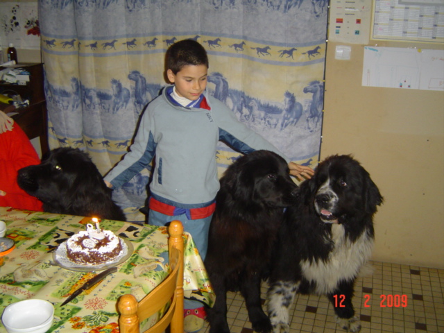 bon et joyeux anniversaire à notre loulou  JORDAN 8ans_j13