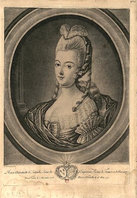 Marie-Antoinette, mais d'après quel portrait ? Fleurd10