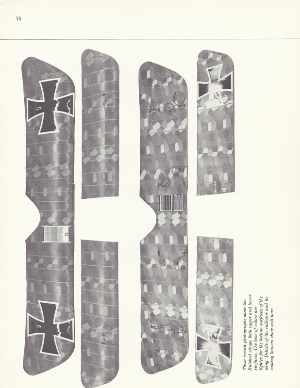 Albatros D-Va 1/32 Wingnut Wings Scan0012