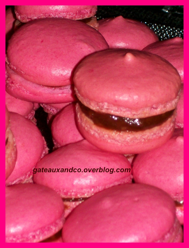 Macarons - Page 15 01012