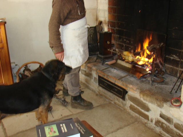 Et les chiens des amazones, ils méritent aussi un petit post - Page 7 Dsc03516