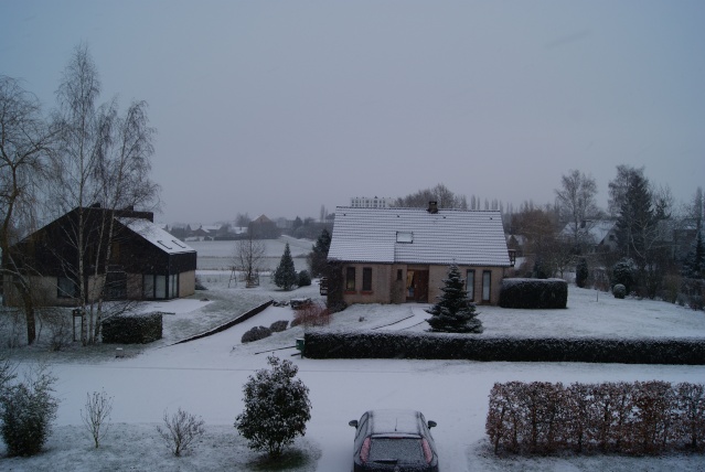 Tempète de neige: chevaux et paysage Dsc00419