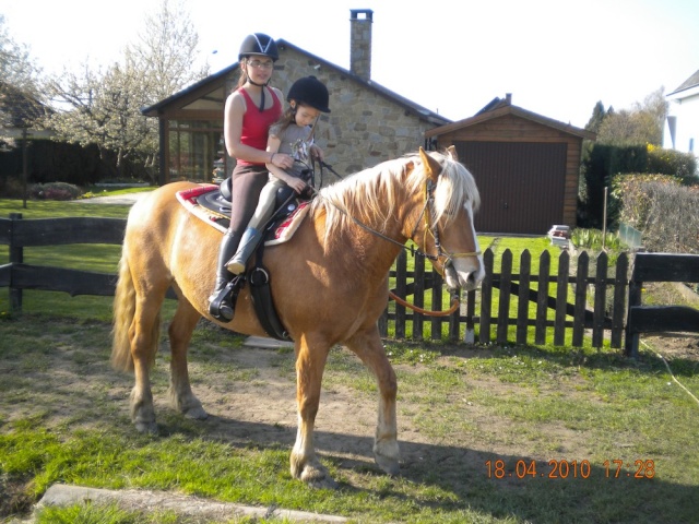 NEW de Noisette... cheval familiale par excelence Dscn2717