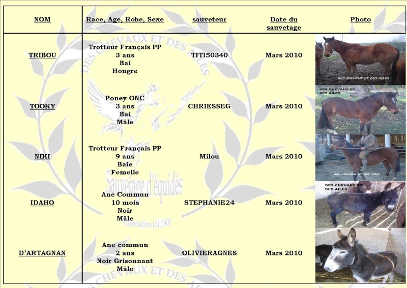 Sauvetages de mars 2010 Recap_81