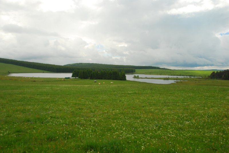 Tourne des lacs Dsc_1715