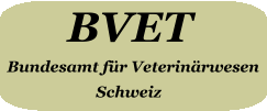 Bullterrier-Bastel-Forum Bvet12