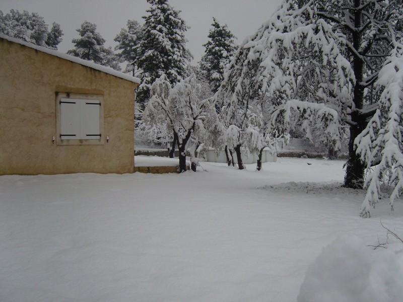 Il neige sur Marseille ... qui l'eut cru Snc12011