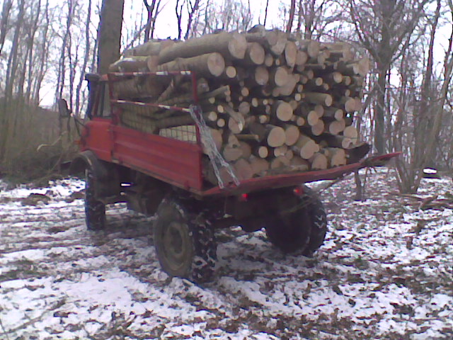journée au bois Photo014