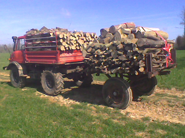 journée au bois Photo020