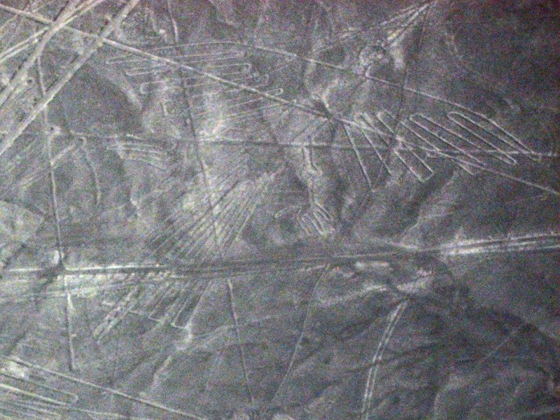 LES LIGNES DE NAZCA VUES D'AVION 2470_p10