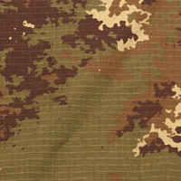 Les types de camouflage Muestr10