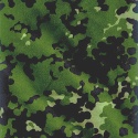 Les types de camouflage Vegeta10