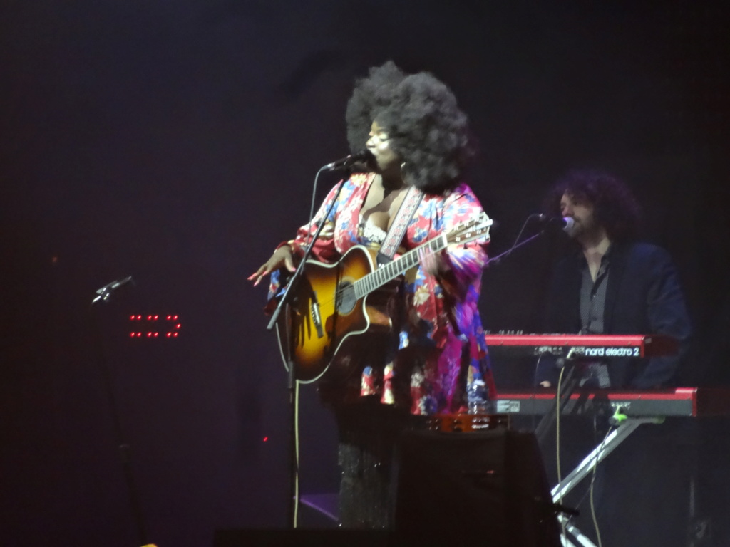 Greta Van Fleet : Paris, Zénith, 13/11/19 Dsc02711