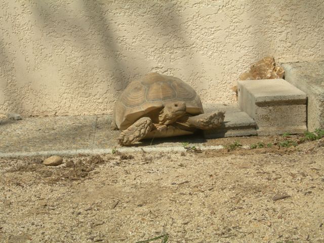 Scène de ménage chez mes sussus Dscn8328