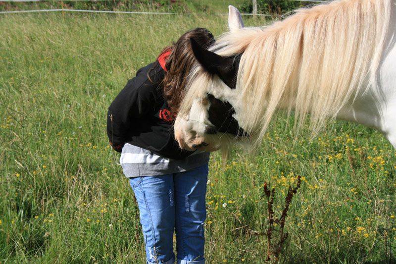 Concours n°4 : Complicité avec le cheval Fate_d13