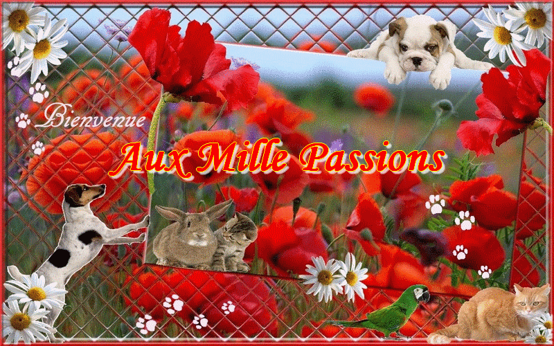 Aux Mille Passions