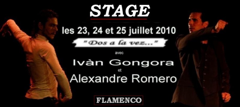 STAGE d'été de FLAMENCO exceptionnel (66) Stage_10