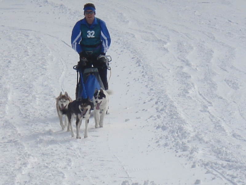 Venez voter pour le concours Nos chiens dans la neige Course26