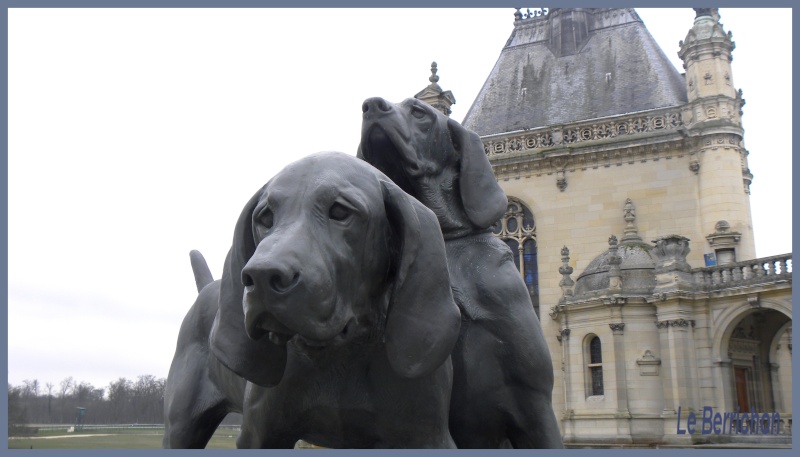 Château de Chantilly _chass12