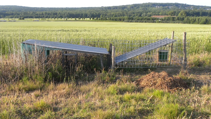 La cage de prélachè. Chasse41