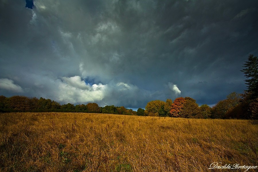 Couleurs de saison Couleu11