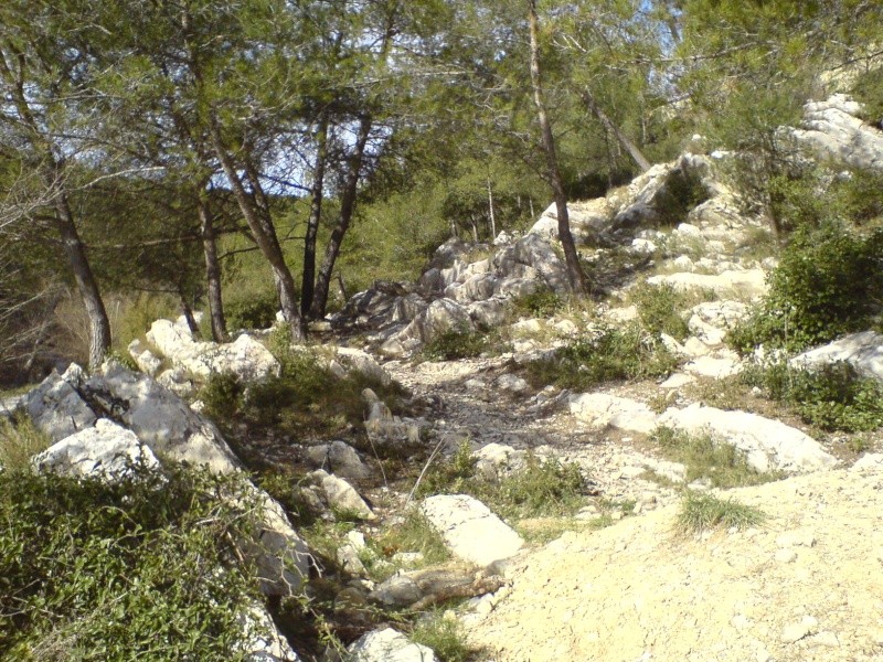 Spot possible sur Caveirac, rgion Nimoise Dsc00830