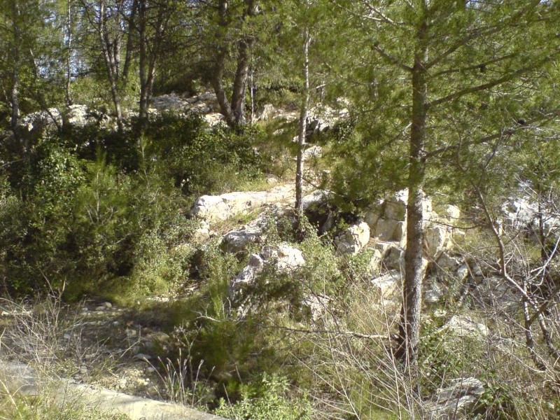 Spot possible sur Caveirac, rgion Nimoise Dsc00831