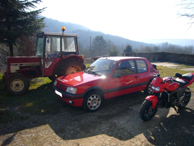 Cédric - Bourg en Bresse 01 - 205 GTI 1.9l 03110