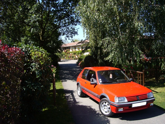 Cédric - Bourg en Bresse 01 - 205 GTI 1.9l 136110