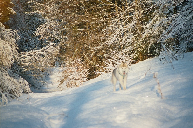 vacances de denver dans le jura Imm02210