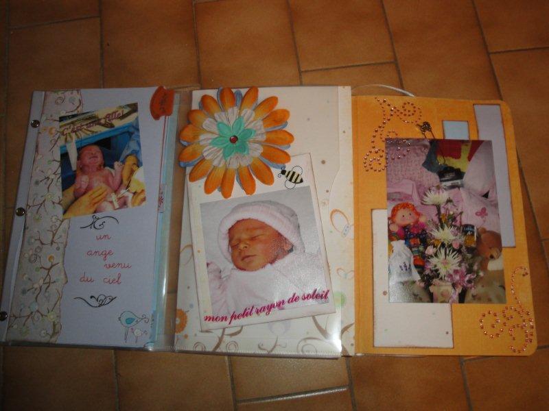 Album de naissance et album d'hiver Dsc02527