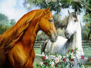 Άλογα Lovest10