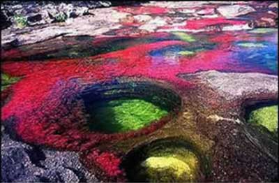 Amérique du Sud. Le fleuve, mondialement célèbre pour son affichage en couleurs Rivier15