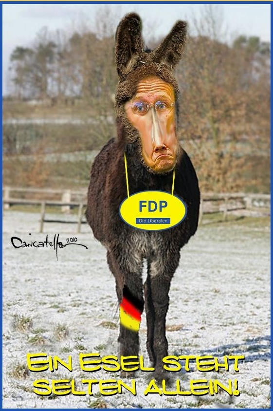 Neues von der FDP Bremer10