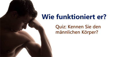 Quiz - Kennst du den männlichen Körper? Quizma10
