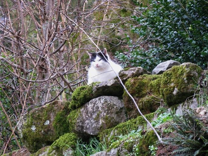 Chats de rencontre... Roquel10