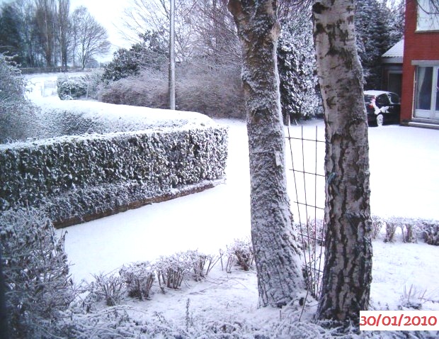 meteo - Page 4 30_01_10