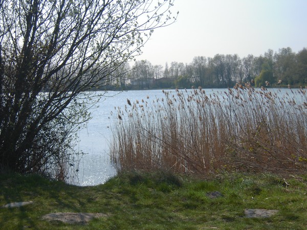 Promenade au lac (15 avril 2010) Lac-210